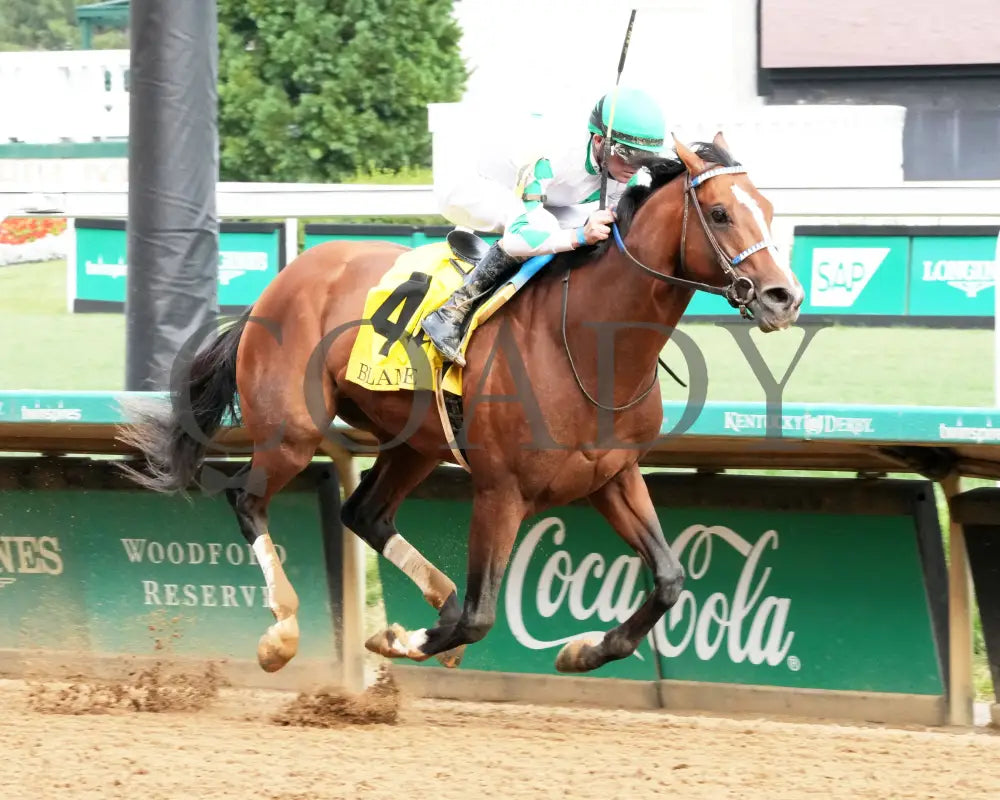 MYSTIK DAN - 053125 - Race 10 - CD The Blame G3 - 6th Running - Finish 02 Churchill Downs