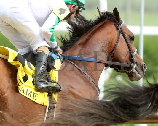 MYSTIK DAN - 053125 - Race 10 - CD The Blame G3 - 6th Running - First Turn 03 Churchill Downs