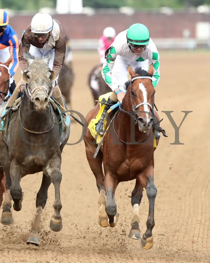 MYSTIK DAN - 053125 - Race 10 - CD The Blame G3 - 6th Running - Gallop Out 01 Churchill Downs