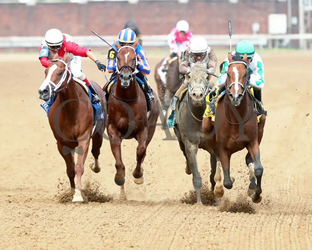 MYSTIK DAN - 053125 - Race 10 - CD The Blame G3 - 6th Running - Head On 01 Churchill Downs