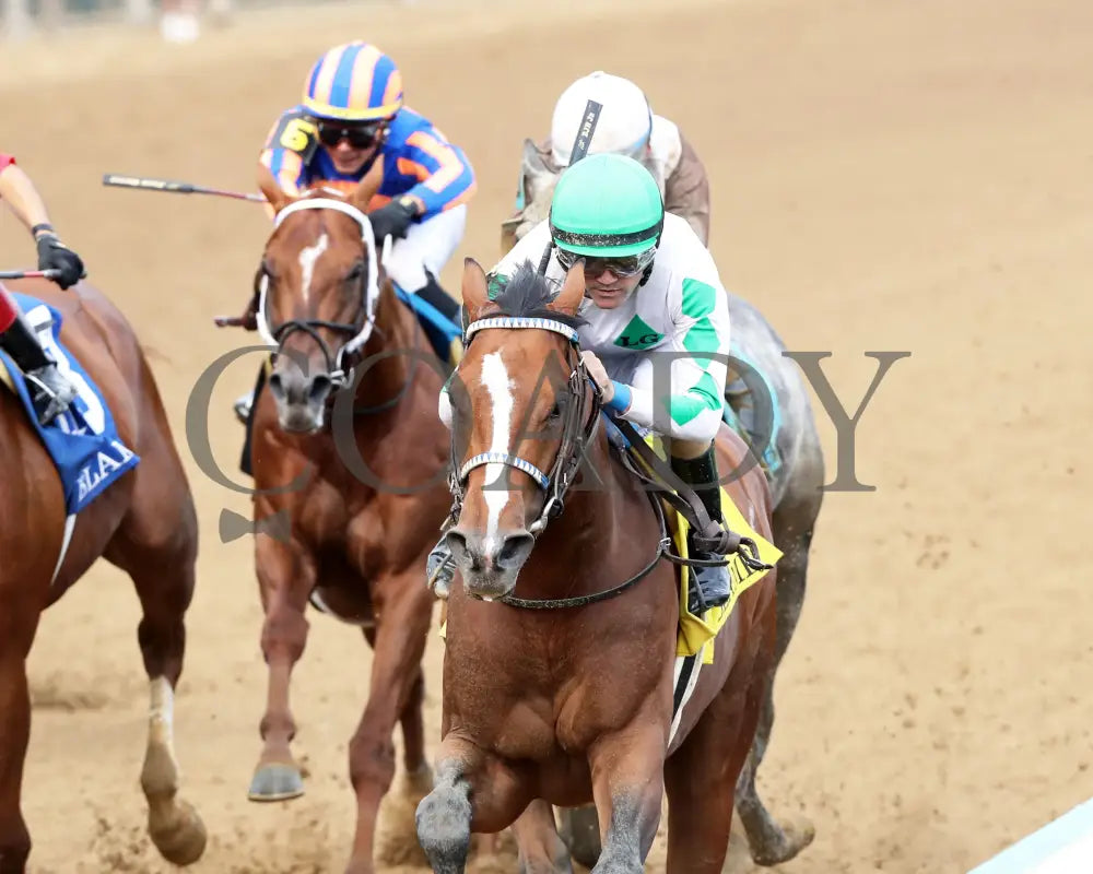 MYSTIK DAN - 053125 - Race 10 - CD The Blame G3 - 6th Running - Inside Finish 01 Churchill Downs