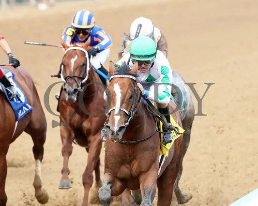 MYSTIK DAN - 053125 - Race 10 - CD The Blame G3 - 6th Running - Inside Finish 01 Churchill Downs