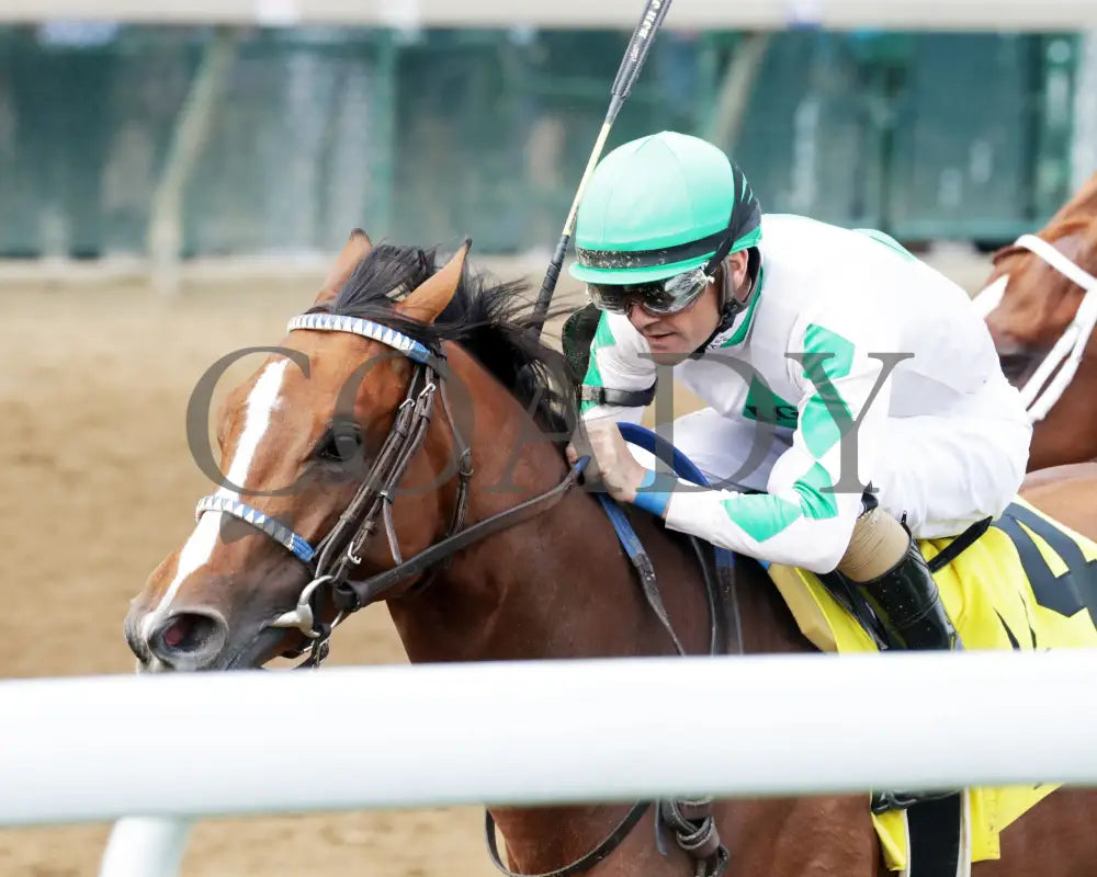 MYSTIK DAN - 053125 - Race 10 - CD The Blame G3 - 6th Running - Inside Finish 02 Churchill Downs