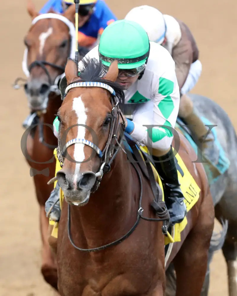 MYSTIK DAN - 053125 - Race 10 - CD The Blame G3 - 6th Running - Inside Finish 03 Churchill Downs