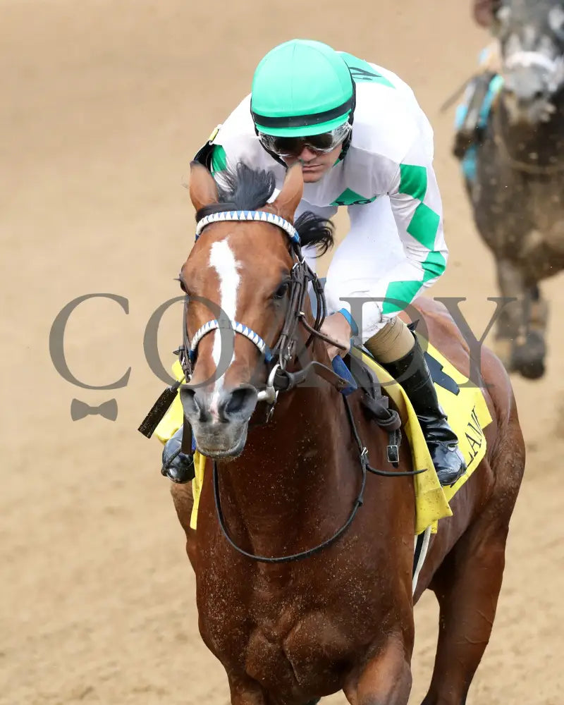 MYSTIK DAN - 053125 - Race 10 - CD The Blame G3 - 6th Running - Inside First Pass 02 Churchill Downs