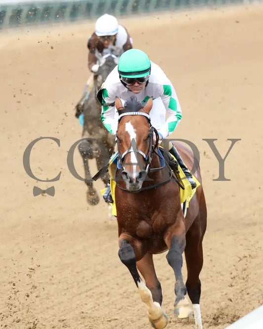 MYSTIK DAN - 053125 - Race 10 - CD The Blame G3 - 6th Running - Inside First Pass 03 Churchill Downs