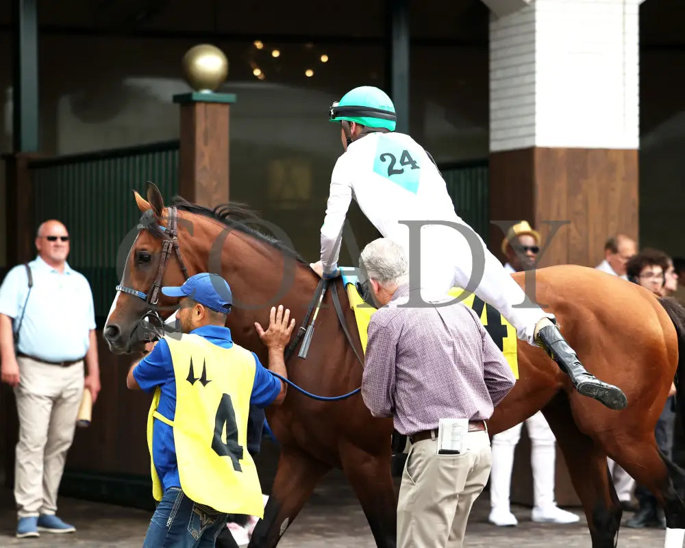MYSTIK DAN - 053125 - Race 10 - CD The Blame G3 - 6th Running - Paddock 02 Churchill Downs