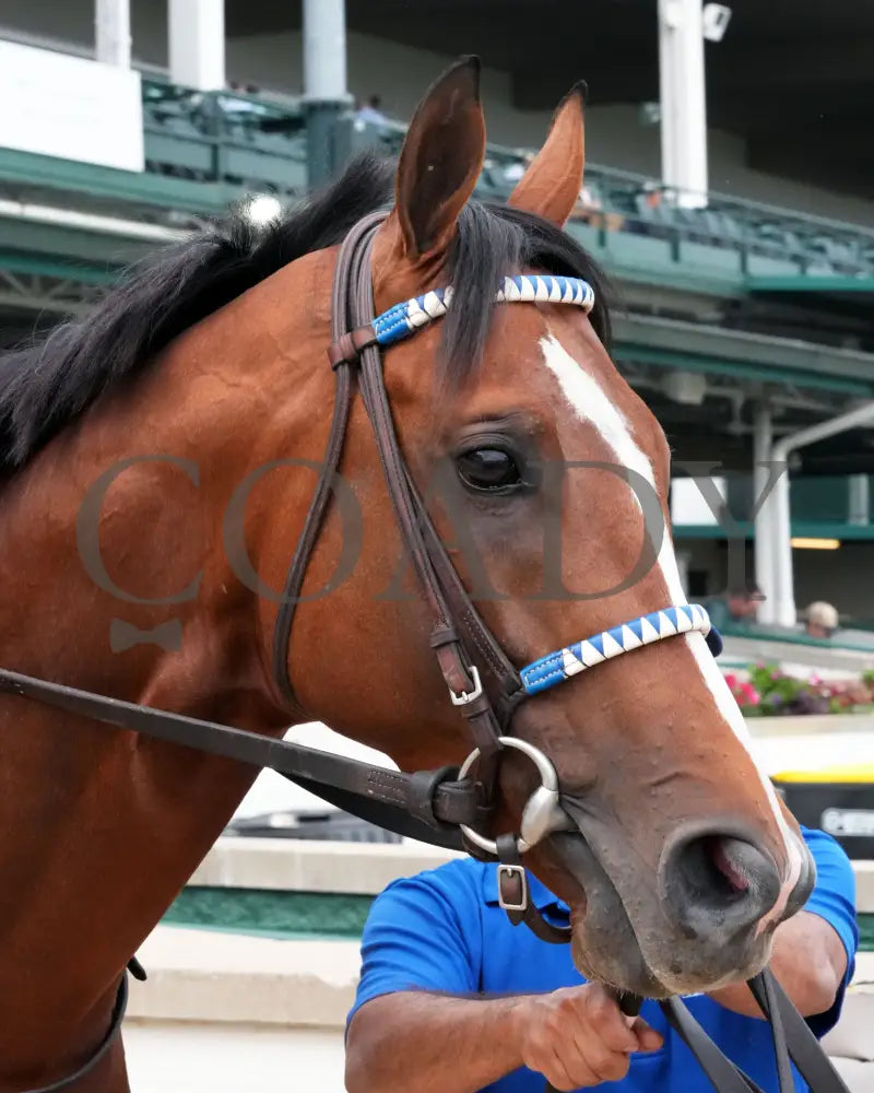 MYSTIK DAN - 053125 - Race 10 - CD The Blame G3 - 6th Running - Post Parade 01 Churchill Downs