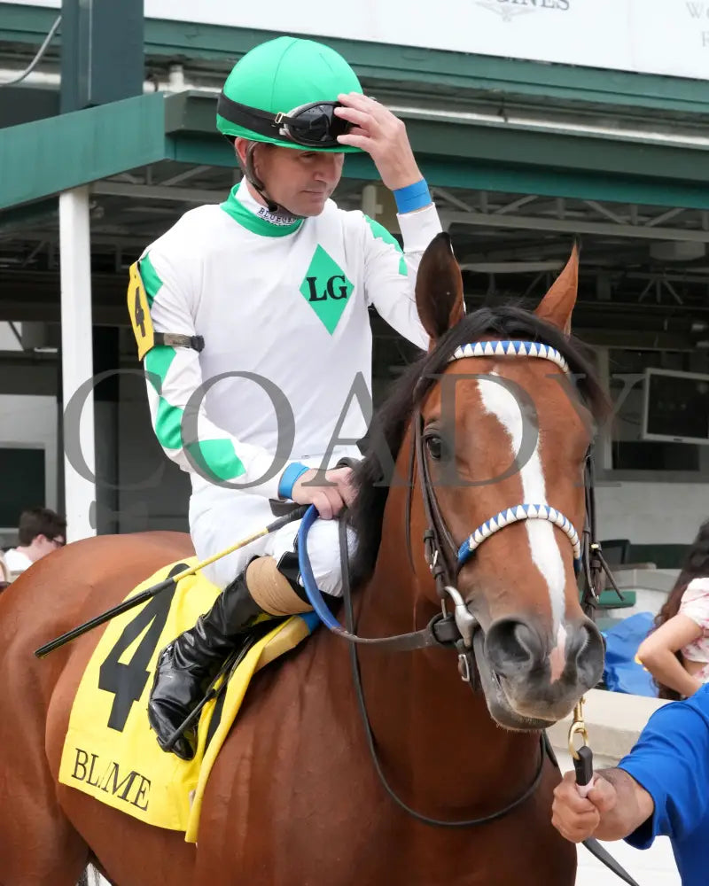 MYSTIK DAN - 053125 - Race 10 - CD The Blame G3 - 6th Running - Post Parade 02 Churchill Downs