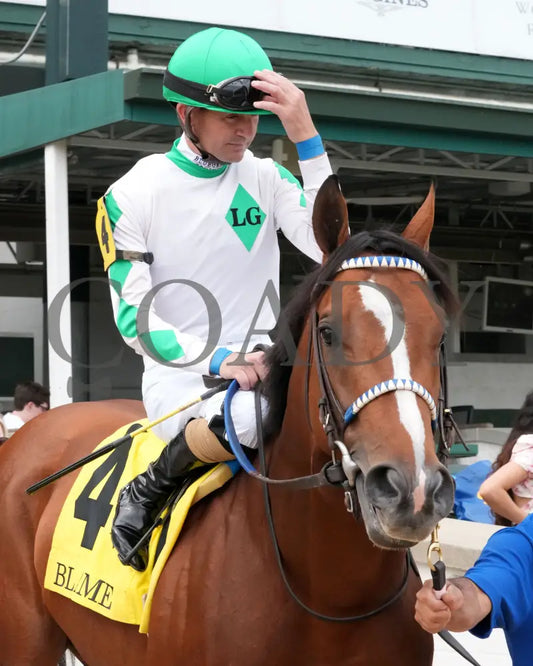MYSTIK DAN - 053125 - Race 10 - CD The Blame G3 - 6th Running - Post Parade 02 Churchill Downs