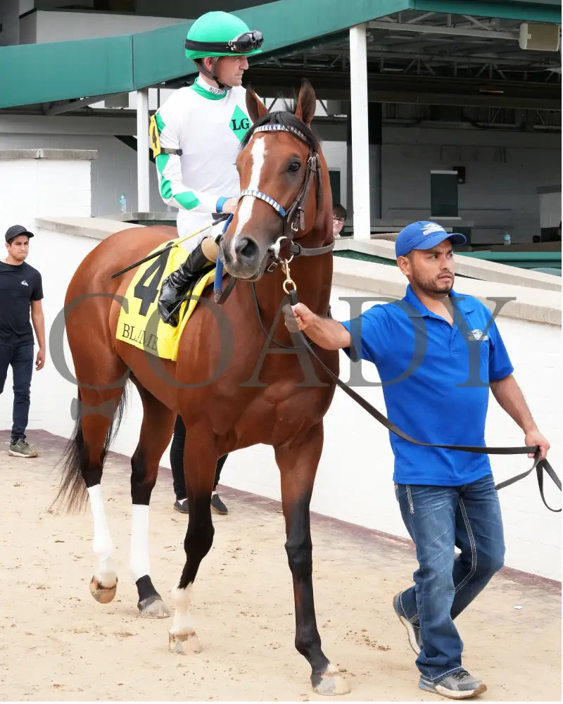 MYSTIK DAN - 053125 - Race 10 - CD The Blame G3 - 6th Running - Post Parade 03 Churchill Downs