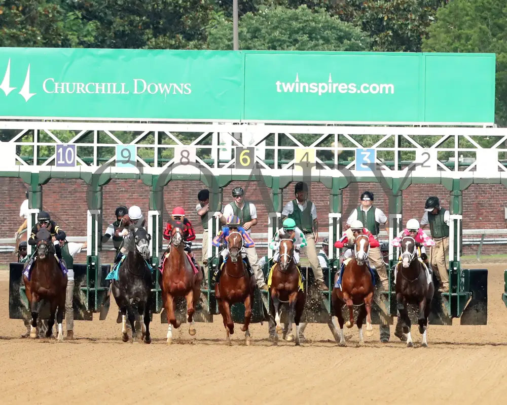 MYSTIK DAN - 053125 - Race 10 - CD The Blame G3 - 6th Running - Start 01 Churchill Downs