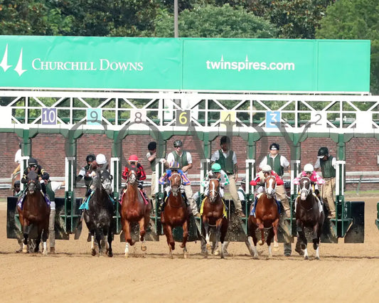 MYSTIK DAN - 053125 - Race 10 - CD The Blame G3 - 6th Running - Start 01 Churchill Downs