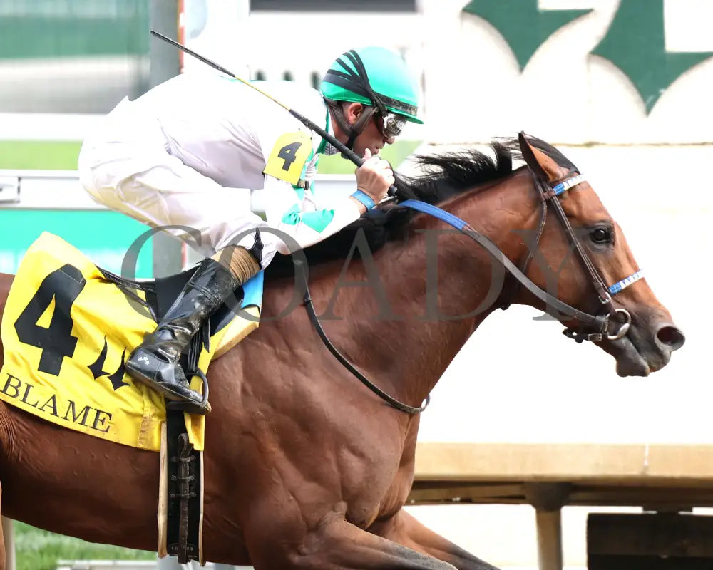 MYSTIK DAN - 053125 - Race 10 - CD The Blame G3 - 6th Running - Tight Finish 01 Churchill Downs