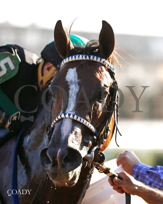 MYSTIK DAN - 092725 - Race 10 - CD - Comeback 02 - Coady Media - Kurtis Coady Photography