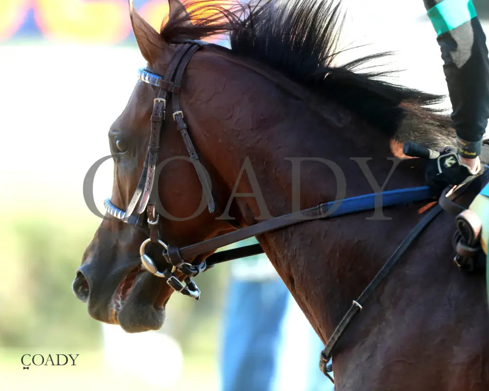 MYSTIK DAN - 092725 - Race 10 - CD - Comeback 05 Churchill Downs