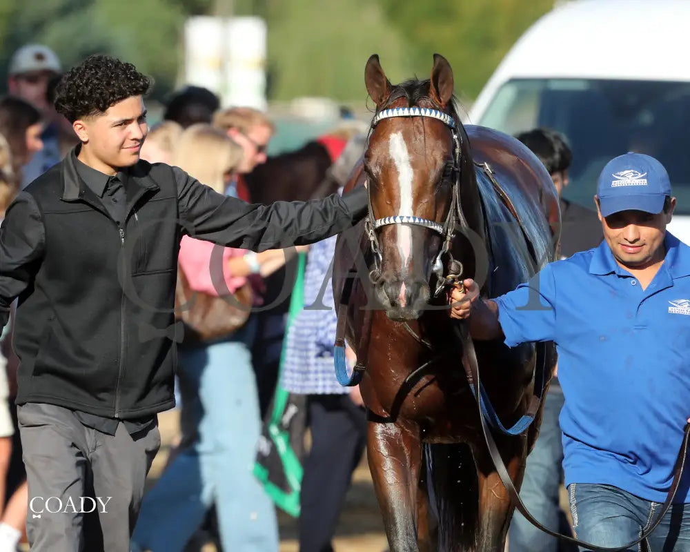 MYSTIK DAN - 092725 - Race 10 - CD - Comeback 07 Churchill Downs