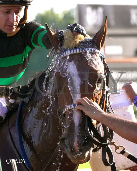 MYSTIK DAN - 092725 - Race 10 - CD - Comeback 08 Churchill Downs