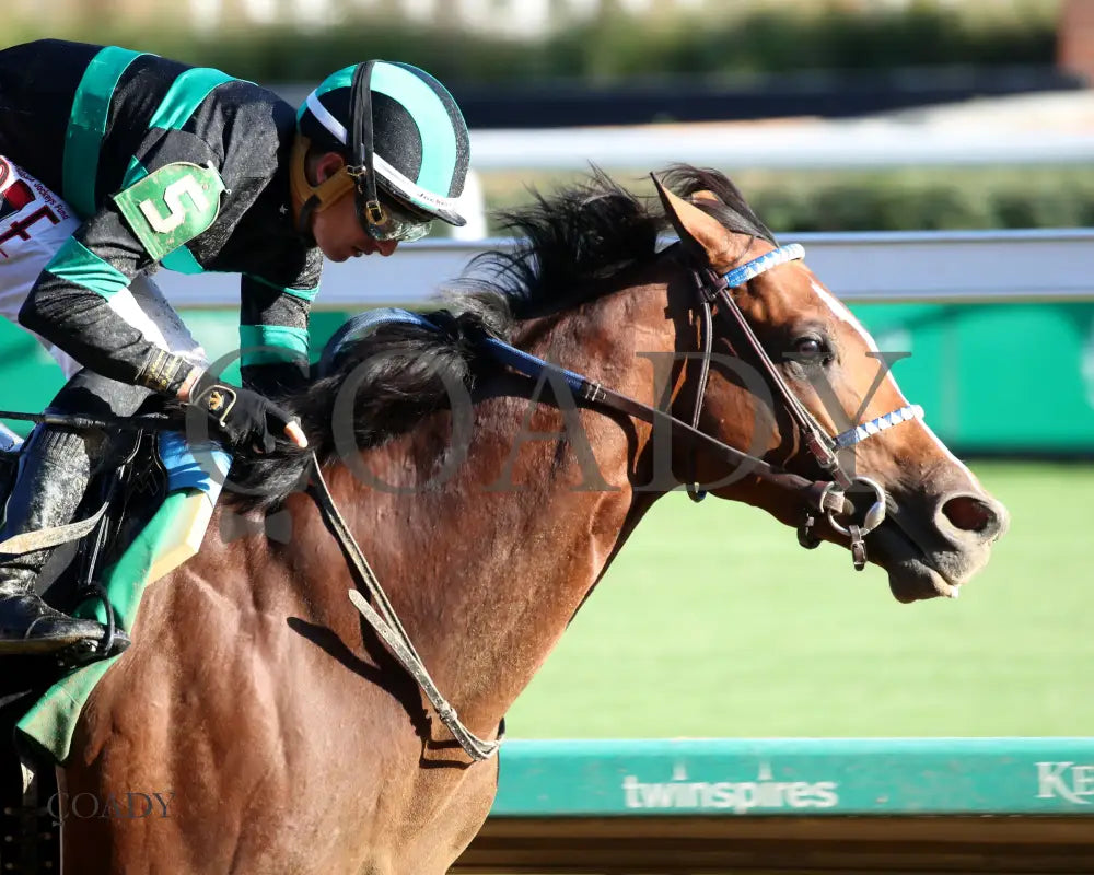 MYSTIK DAN - 092725 - Race 10 - CD - Finish 03 Churchill Downs