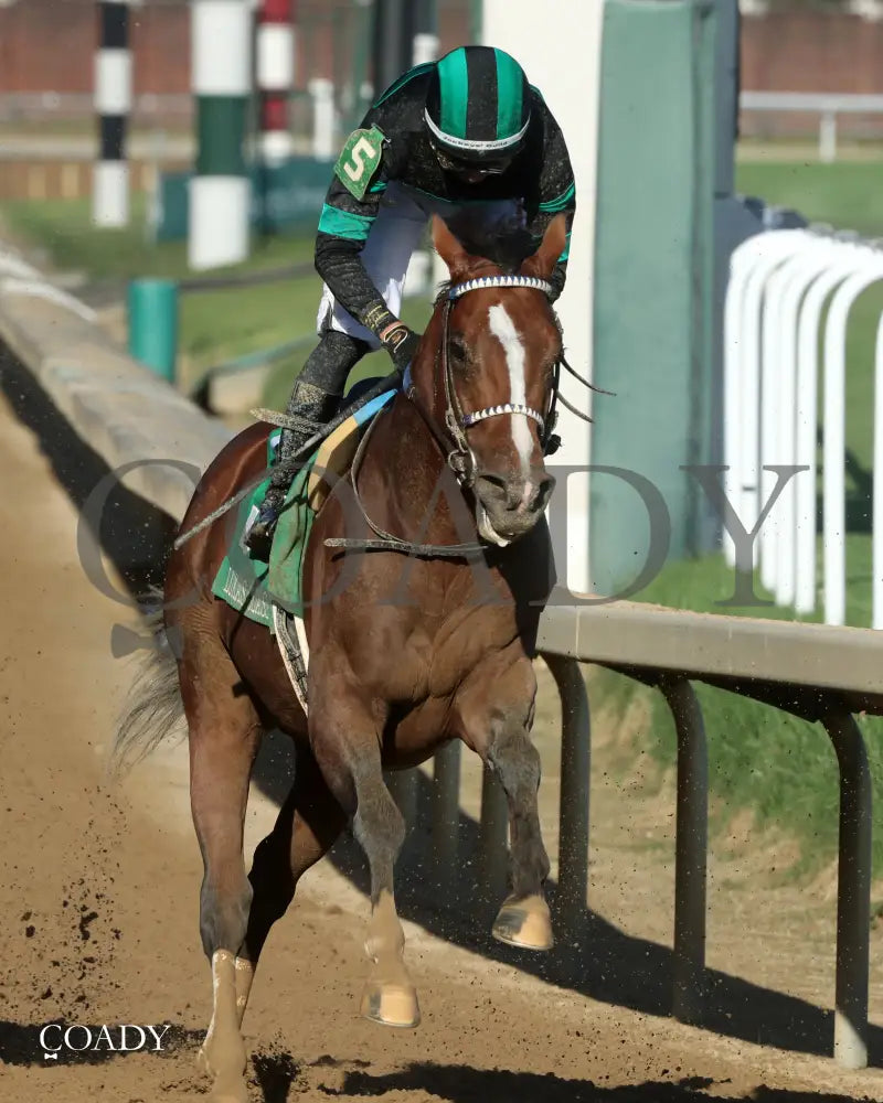 MYSTIK DAN - 092725 - Race 10 - CD - Gallop Out 01 Churchill Downs