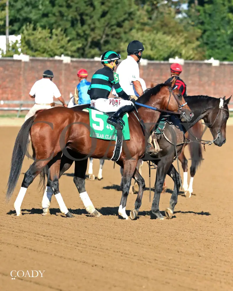 MYSTIK DAN - 092725 - Race 10 - CD - Post Parade 01 - Coady Media - Kurtis Coady Photography