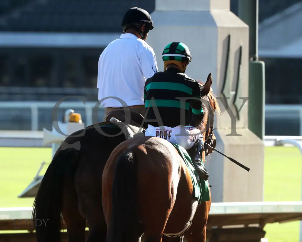 MYSTIK DAN - 092725 - Race 10 - CD - Post Parade 02 Churchill Downs