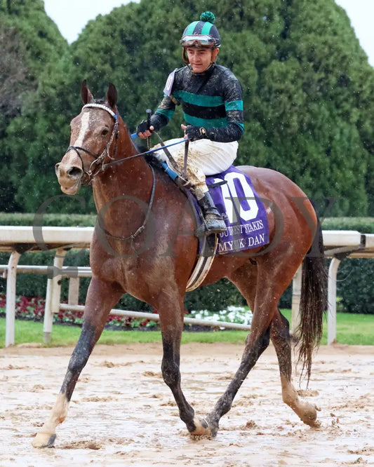 Mystik Dan - Southwest Stakes G3 59Th Running 02-03-24 R11 Oaklawn Park Comeback 01