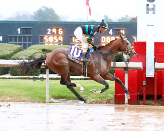 Mystik Dan - Southwest Stakes G3 59Th Running 02-03-24 R11 Oaklawn Park Finish 01