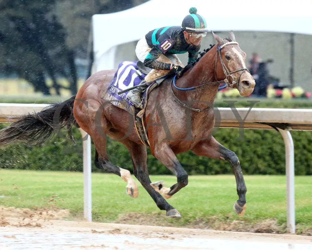 Mystik Dan - Southwest Stakes G3 59Th Running 02-03-24 R11 Oaklawn Park Finish 02