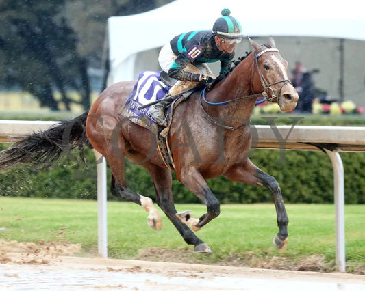 Mystik Dan - Southwest Stakes G3 59Th Running 02-03-24 R11 Oaklawn Park Finish 02