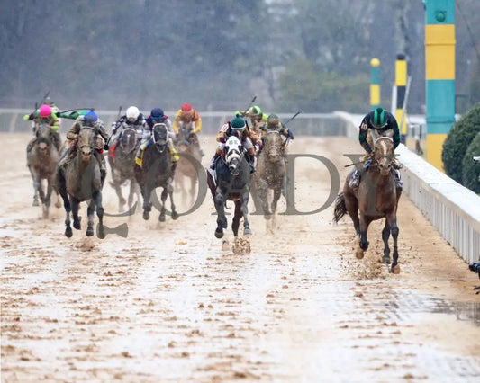 Mystik Dan - Southwest Stakes G3 59Th Running 02-03-24 R11 Oaklawn Park Head On 01