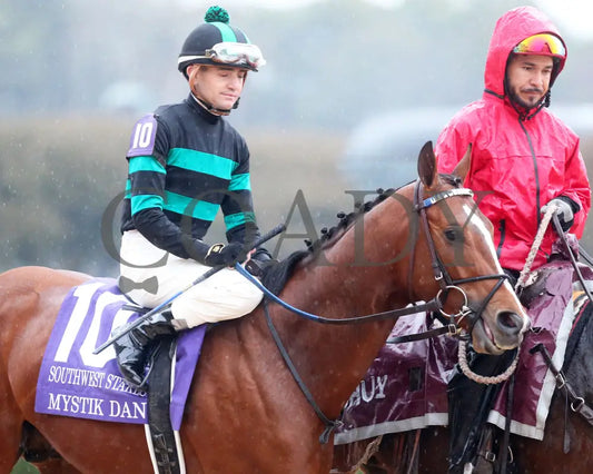 Mystik Dan - Southwest Stakes G3 59Th Running 02-03-24 R11 Oaklawn Park Post Parade 01