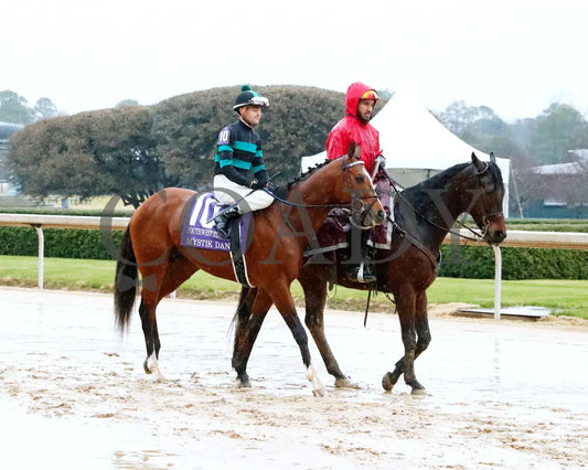 Mystik Dan - Southwest Stakes G3 59Th Running 02-03-24 R11 Oaklawn Park Post Parade 03