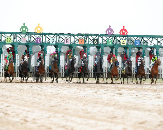 Mystik Dan - Southwest Stakes G3 59Th Running 02-03-24 R11 Oaklawn Park Start 01