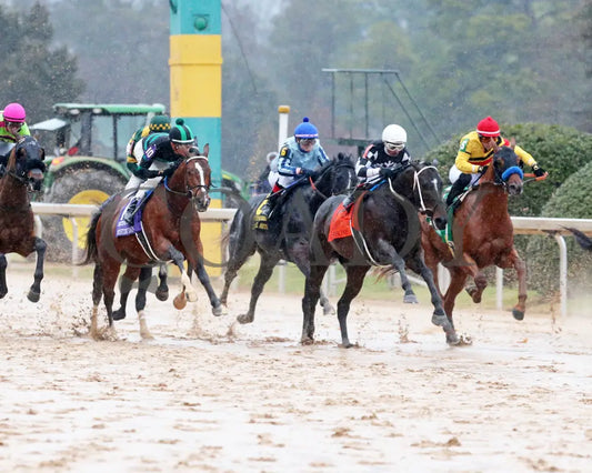 Mystik Dan - Southwest Stakes G3 59Th Running 02-03-24 R11 Oaklawn Park Start 02
