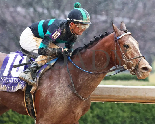 Mystik Dan - Southwest Stakes G3 59Th Running 02-03-24 R11 Oaklawn Park Tight Finish 01