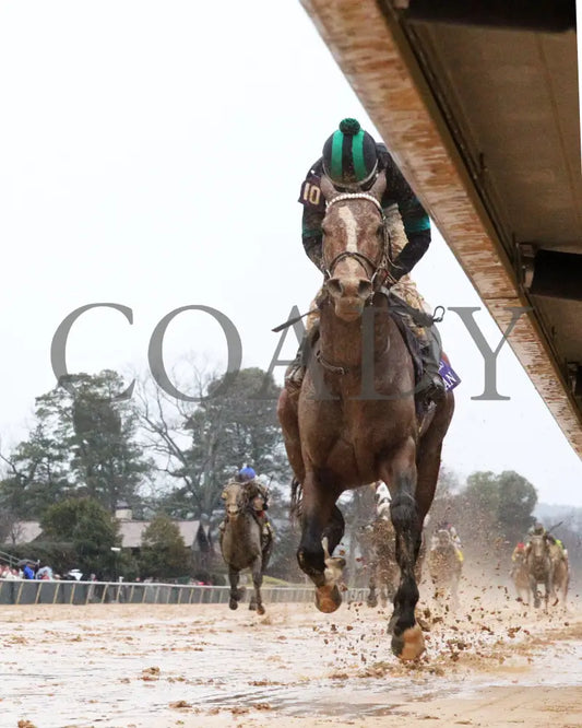 Mystik Dan - Southwest Stakes G3 59Th Running 02-03-24 R11 Oaklawn Park Underrail 01