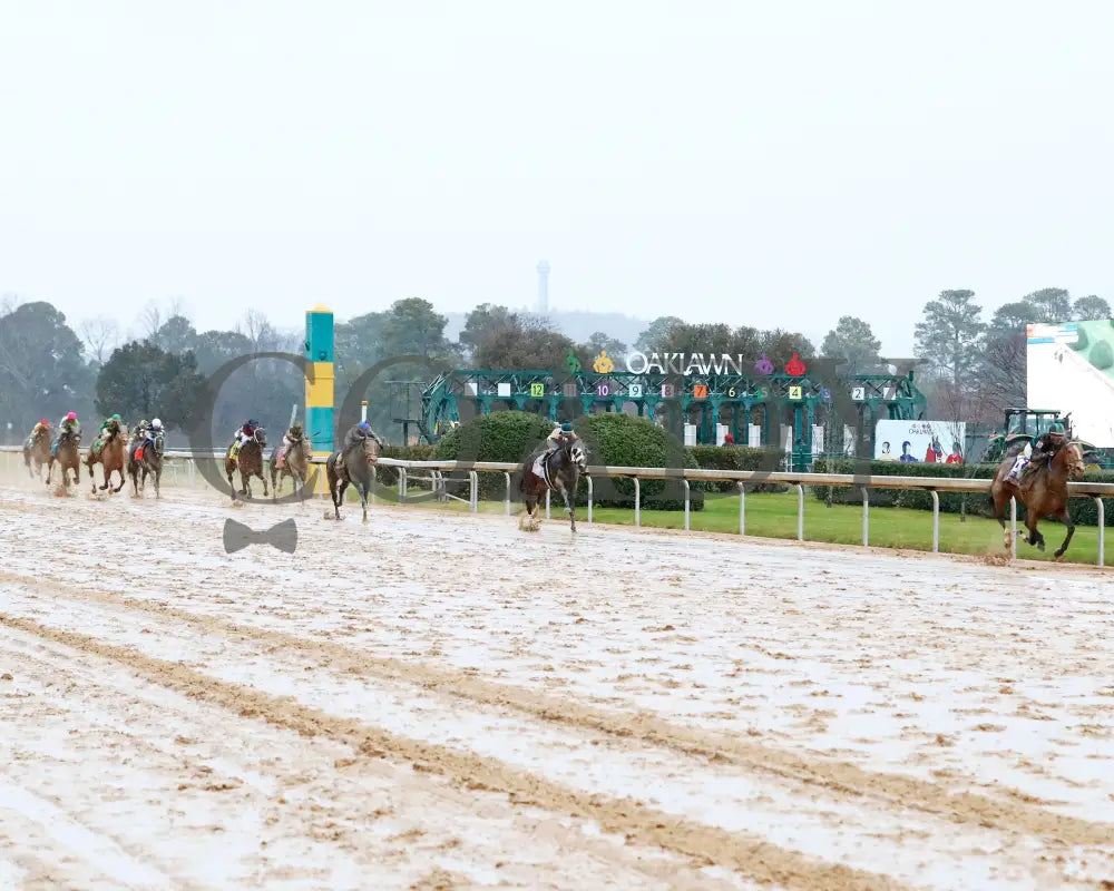 Mystik Dan - Southwest Stakes G3 59Th Running 02-03-24 R11 Oaklawn Park Up The Track