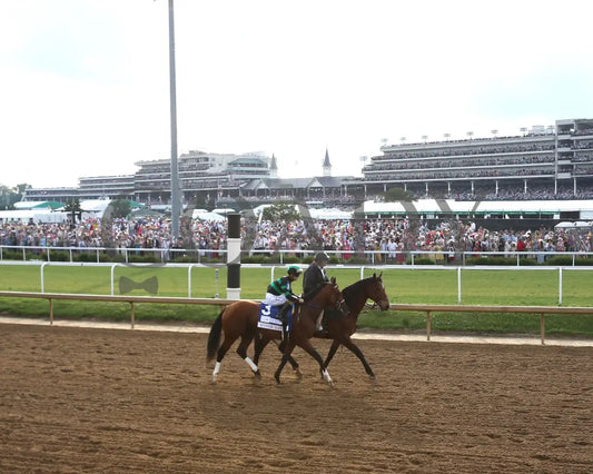 Mystik Dan - The Kentucky Derby G1 150Th Running 05-04-24 R12 Churchill Downs Backside Turn
