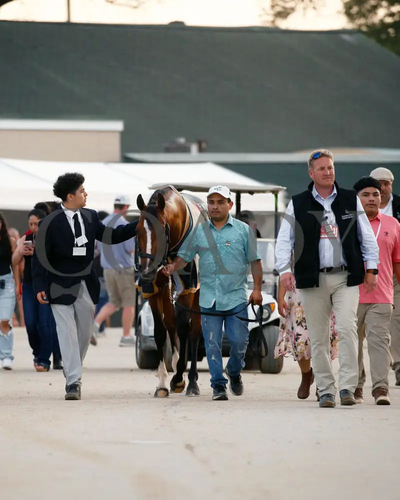 Mystik Dan - The Kentucky Derby G1 150Th Running 05-04-24 R12 Churchill Downs Barn 01 Alisa Adcock