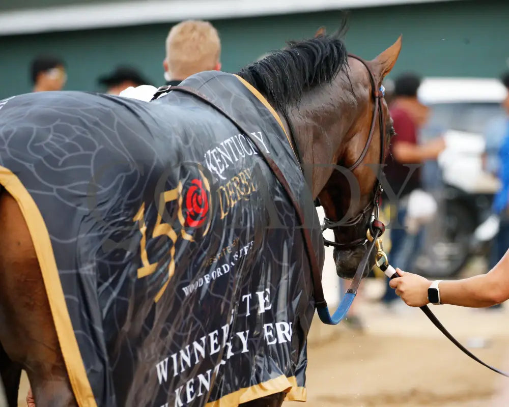 Mystik Dan - The Kentucky Derby G1 150Th Running 05-04-24 R12 Churchill Downs Barn 07 Alisa Adcock