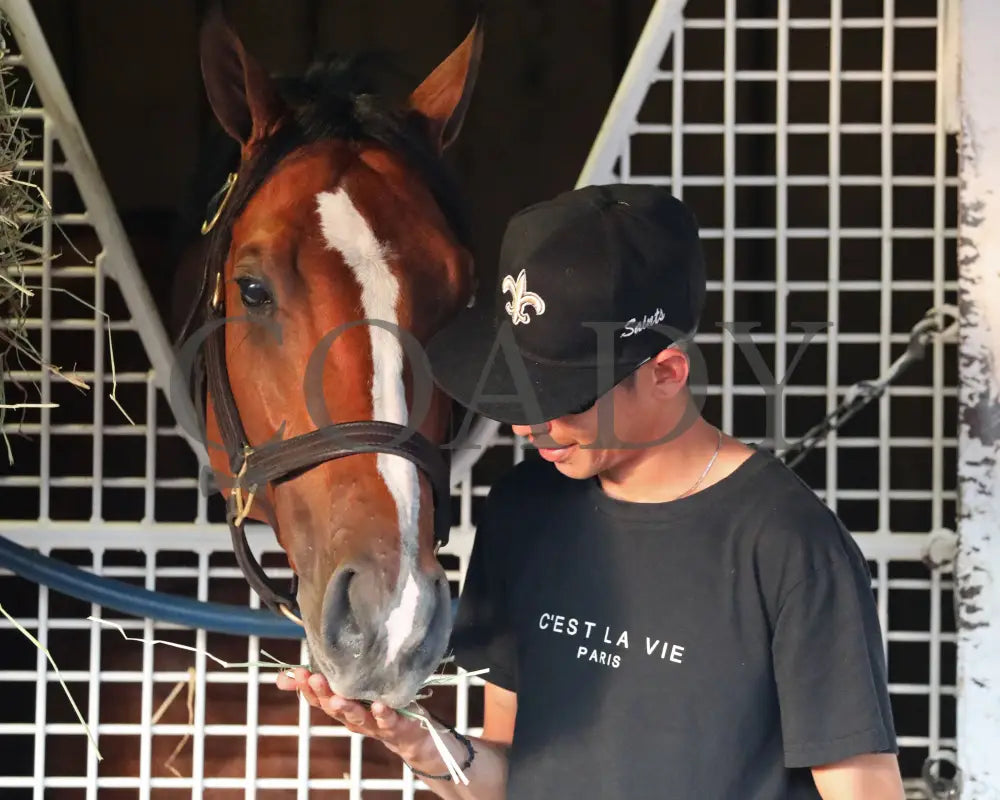 Mystik Dan - The Kentucky Derby G1 150Th Running 05-04-24 R12 Churchill Downs Barn 09 Dawn Smith