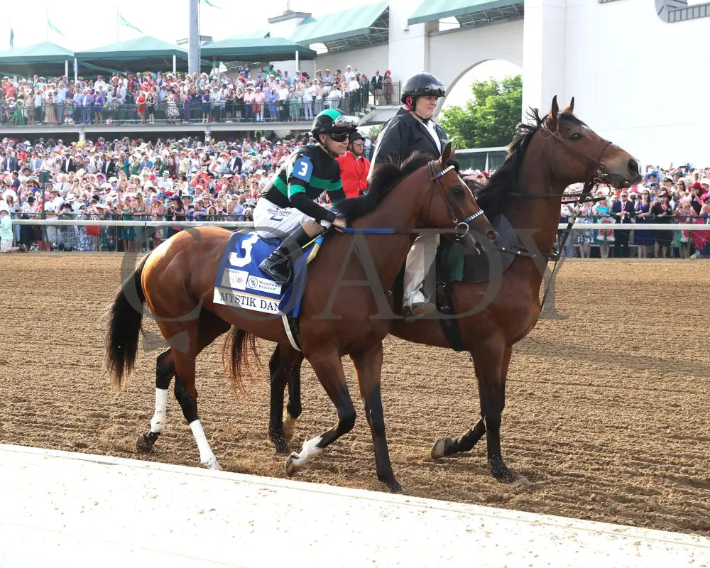 Mystik Dan - The Kentucky Derby G1 150Th Running 05-04-24 R12 Churchill Downs Behind Gate 01 Lauren