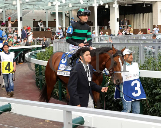 Mystik Dan - The Kentucky Derby G1 150Th Running 05-04-24 R12 Churchill Downs Paddock 02 Renee