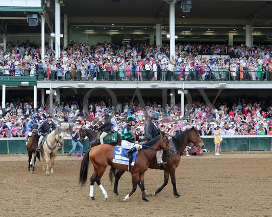 Mystik Dan - The Kentucky Derby G1 150Th Running 05-04-24 R12 Churchill Downs Post Parade 09