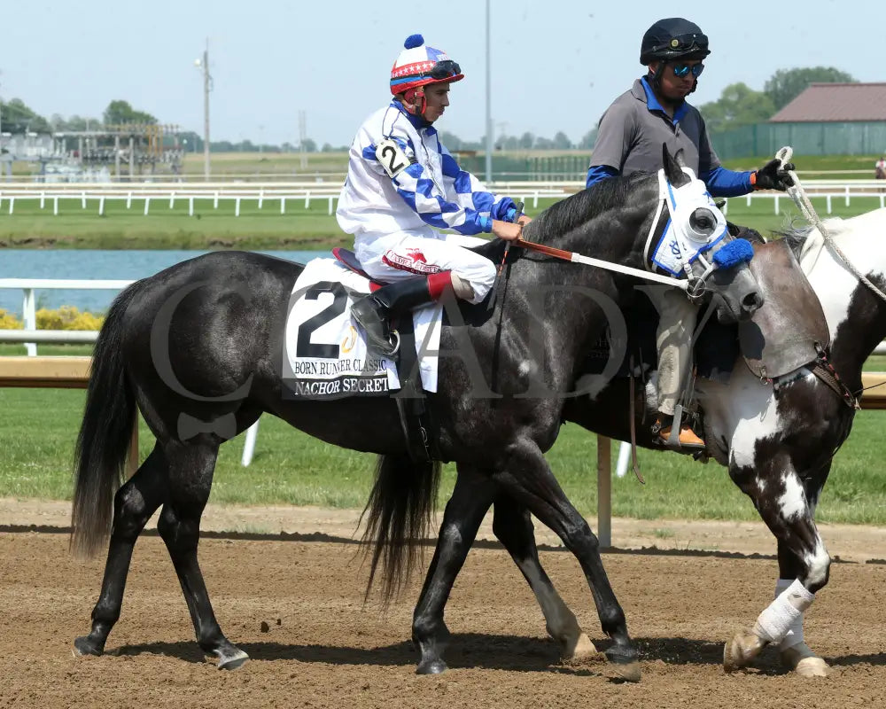 NACHOR SECRET - Born Runner Classic - 15th Running - 05-31-25 - R11 - Horseshoe Indiana - Post Parade 01 - Sammantha