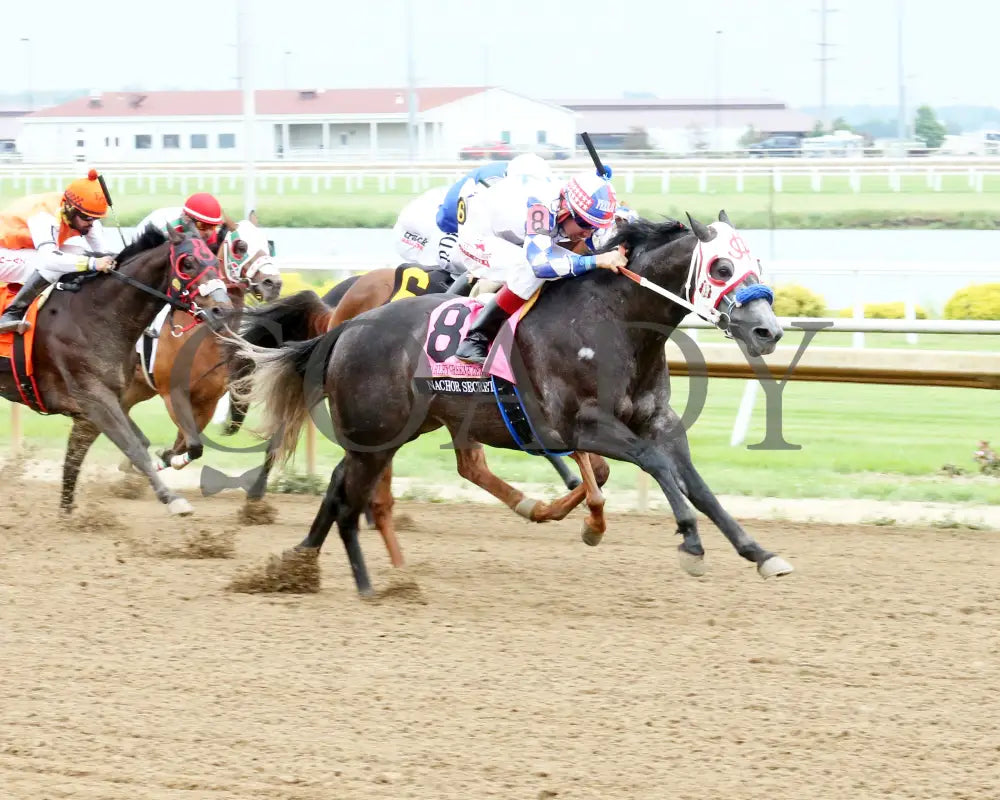 Nachor Secret - Harley Greene Derby Final 10Th Running 06-01-24 R09 Horseshoe Indiana Finish 02