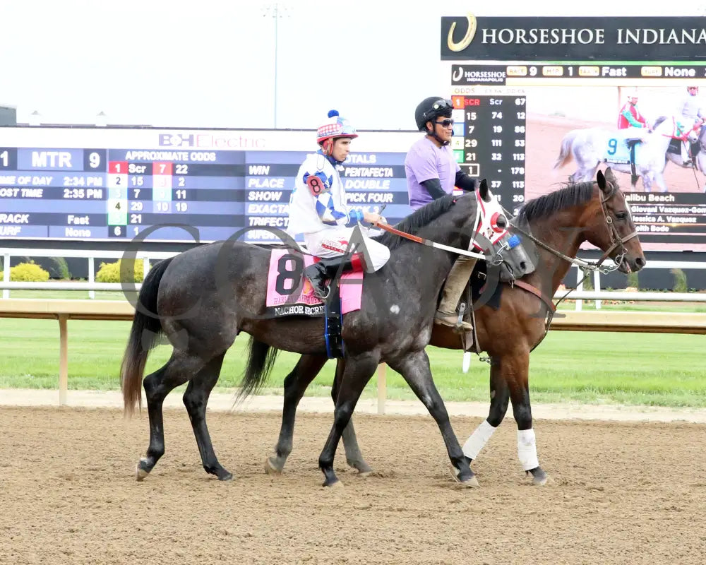 Nachor Secret - Harley Greene Derby Final 10Th Running 06-01-24 R09 Horseshoe Indiana Post Parade