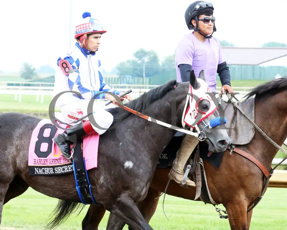 Nachor Secret - Harley Greene Derby Final 10Th Running 06-01-24 R09 Horseshoe Indiana Post Parade