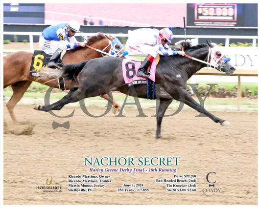 Nachor Secret - Harley Greene Derby Final 10Th Running 06-01-24 R09 Ind Action Indiana Grand